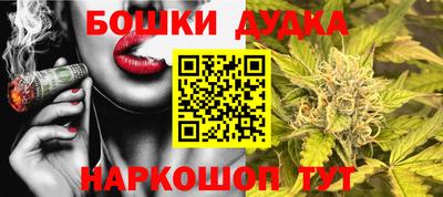мдпв Обь