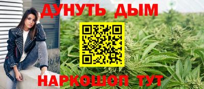 мдпв Обь