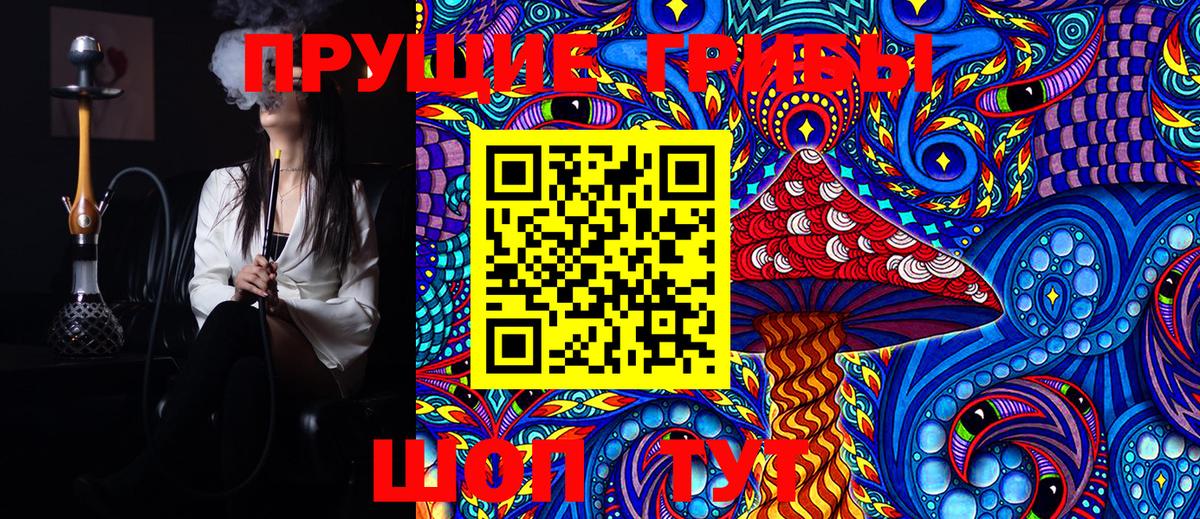 Галлюциногенные грибы Cubensis Сальск